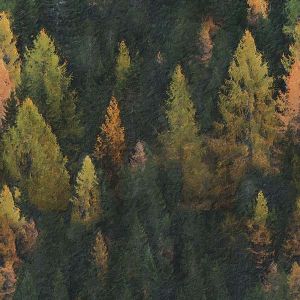 Funkcionális sima passzé méteráru  erdő festmény